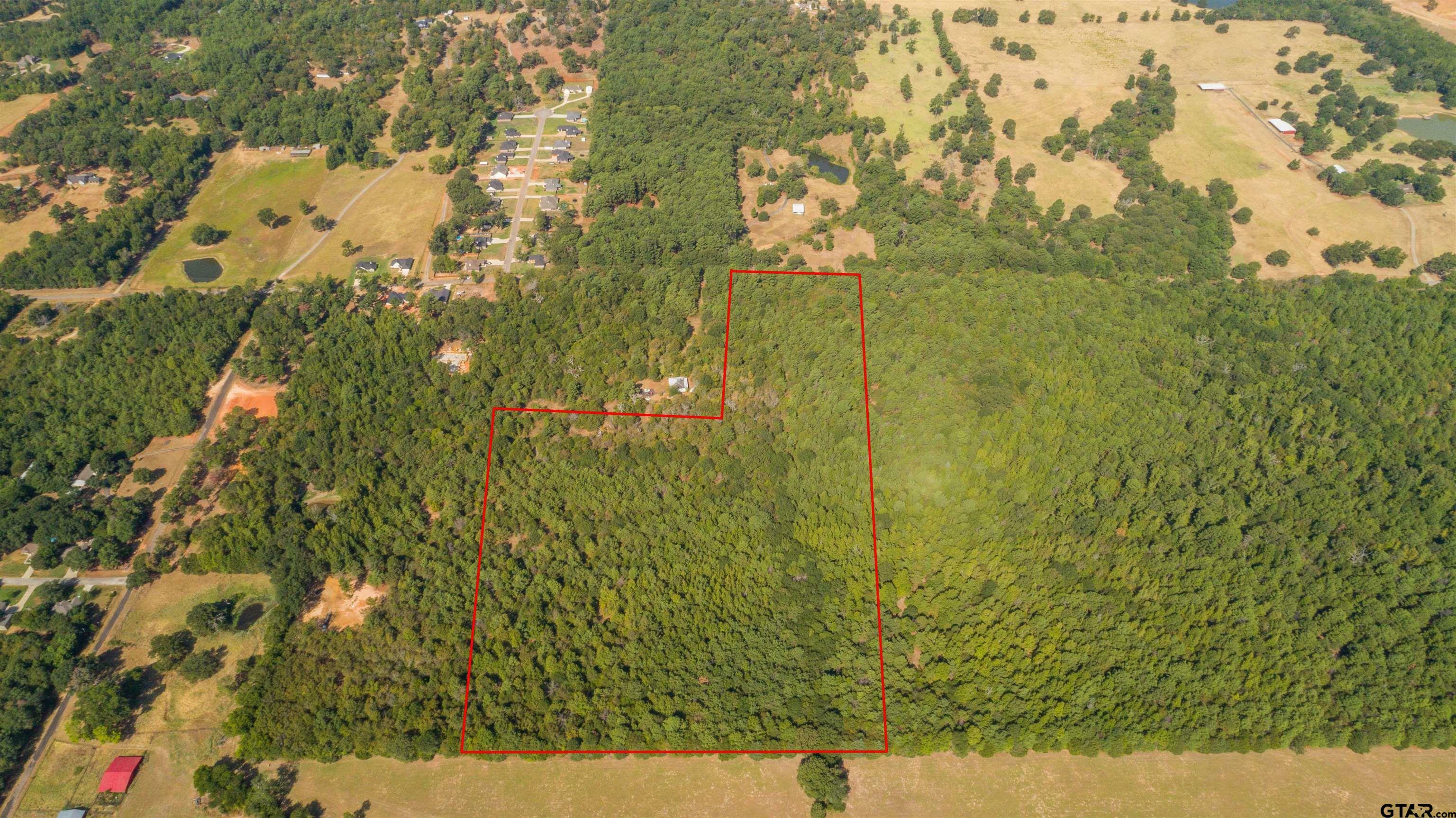 Property Photo:  Tbd Cr 479, Tract 4  TX 75771 