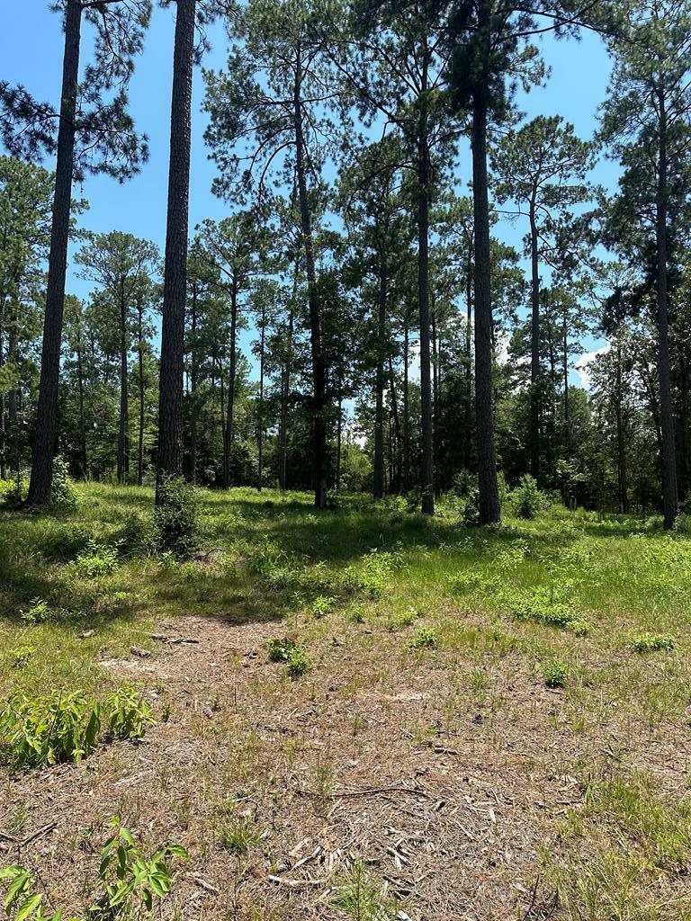 Property Photo:  6028 Lot 2 Pr 6028  TX 75931 