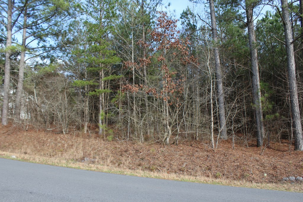 Property Photo:  00 Freedom Way  GA 30705 