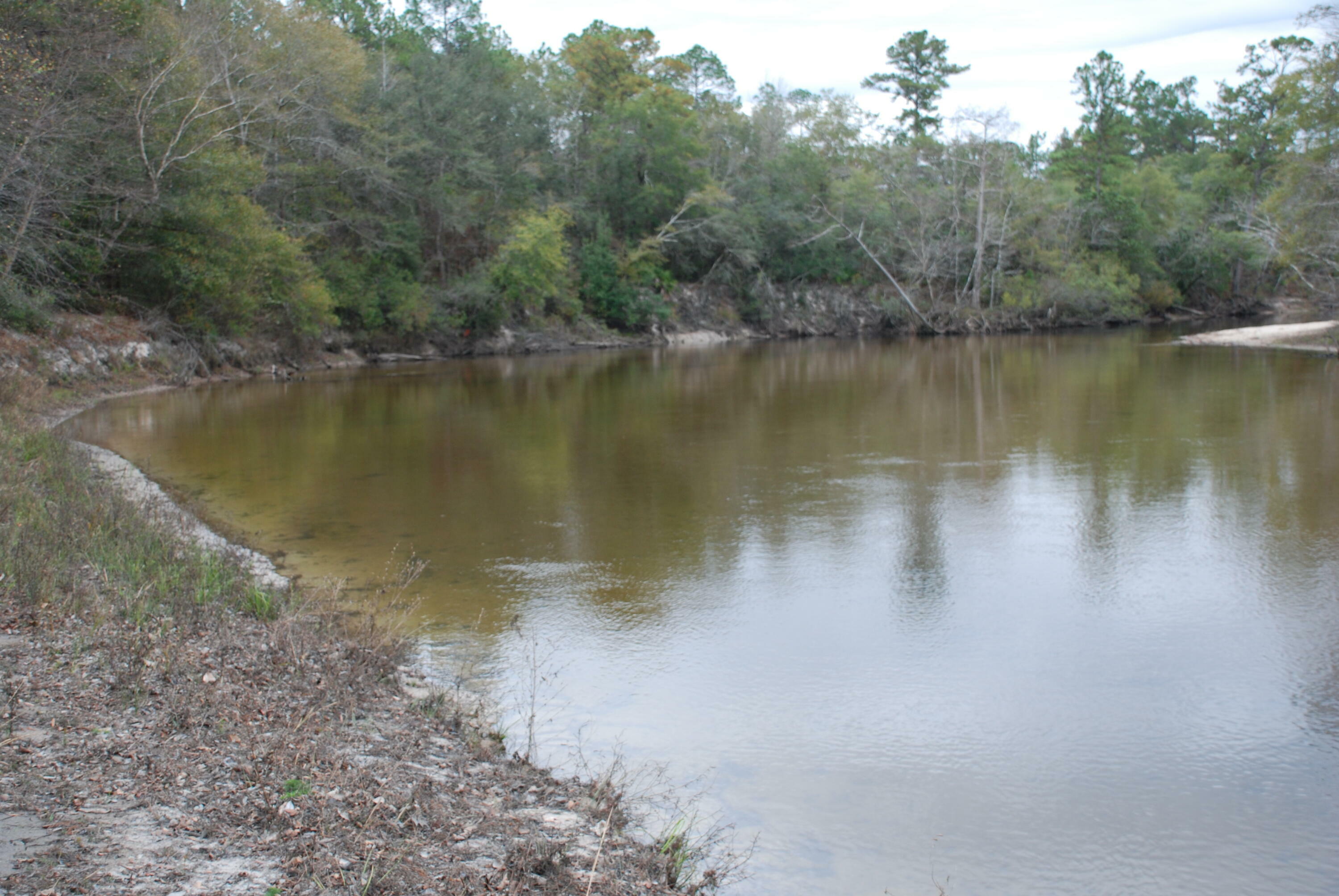 Property Photo:  Tbd 180 +/- Acres  FL 32539 