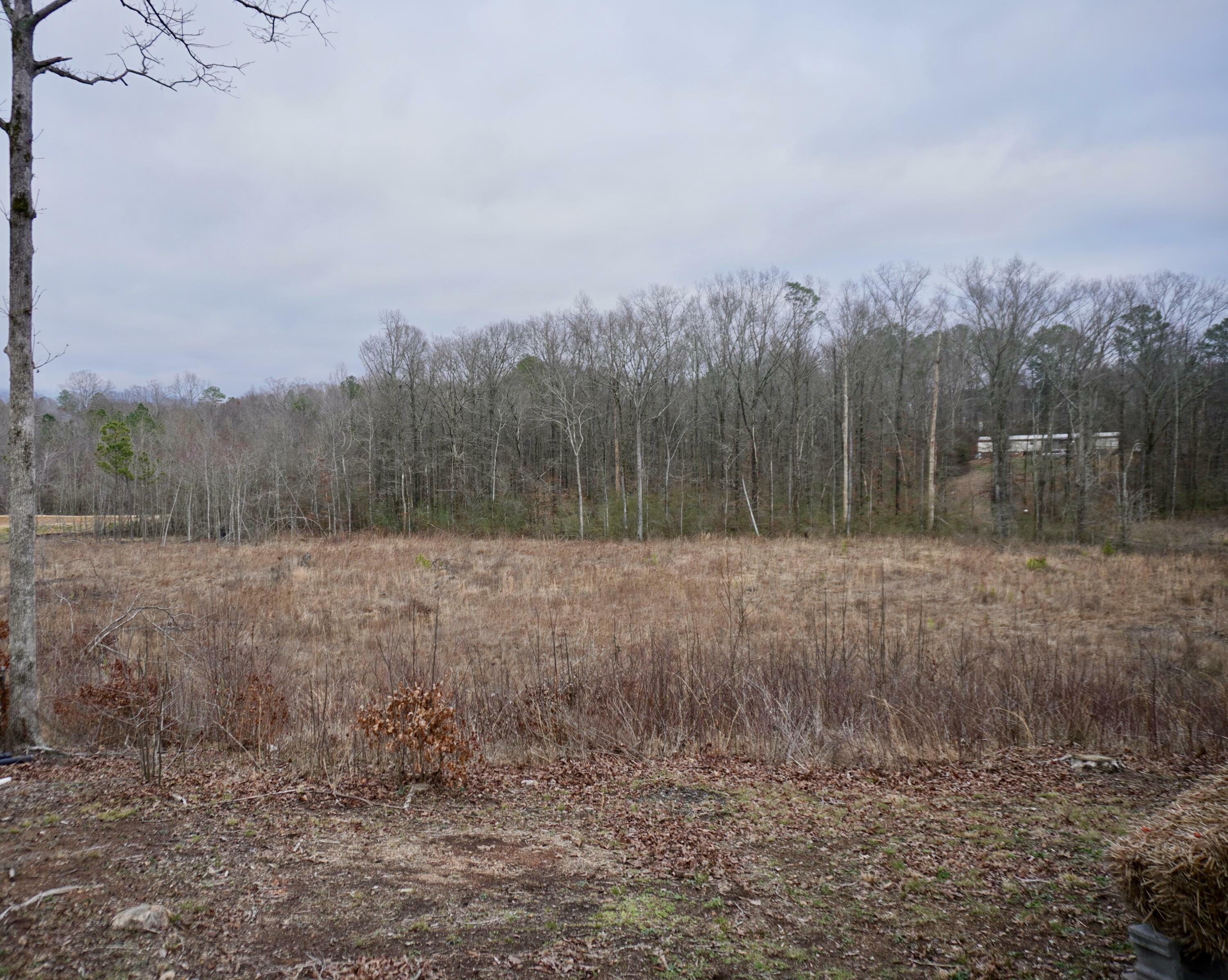 Property Photo:  0 Wilson Rd  GA 30705 