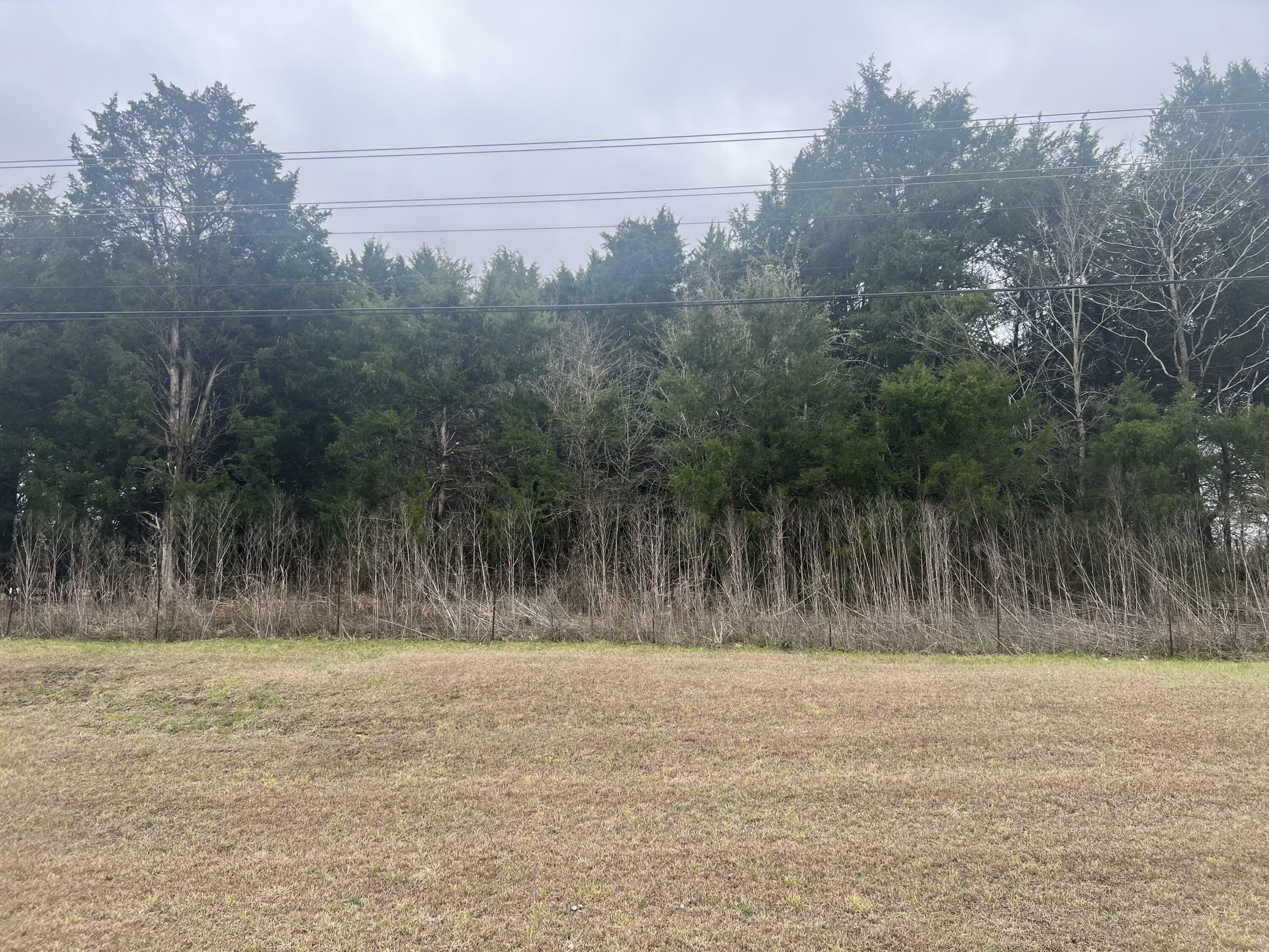 Property Photo:  South Frontage Rd  MS 39701 