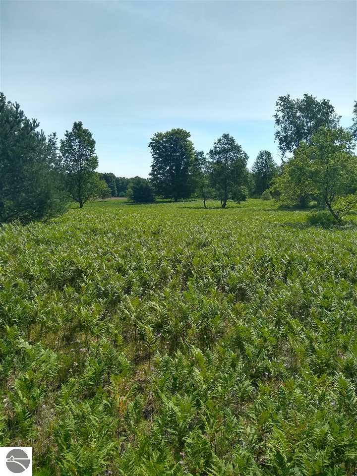 Property Photo: 00 Vista Valley Trail MI 49668