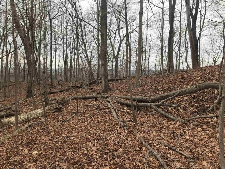 Property Photo: 0 Harvey Road &Amp Kessler Road WV 25701