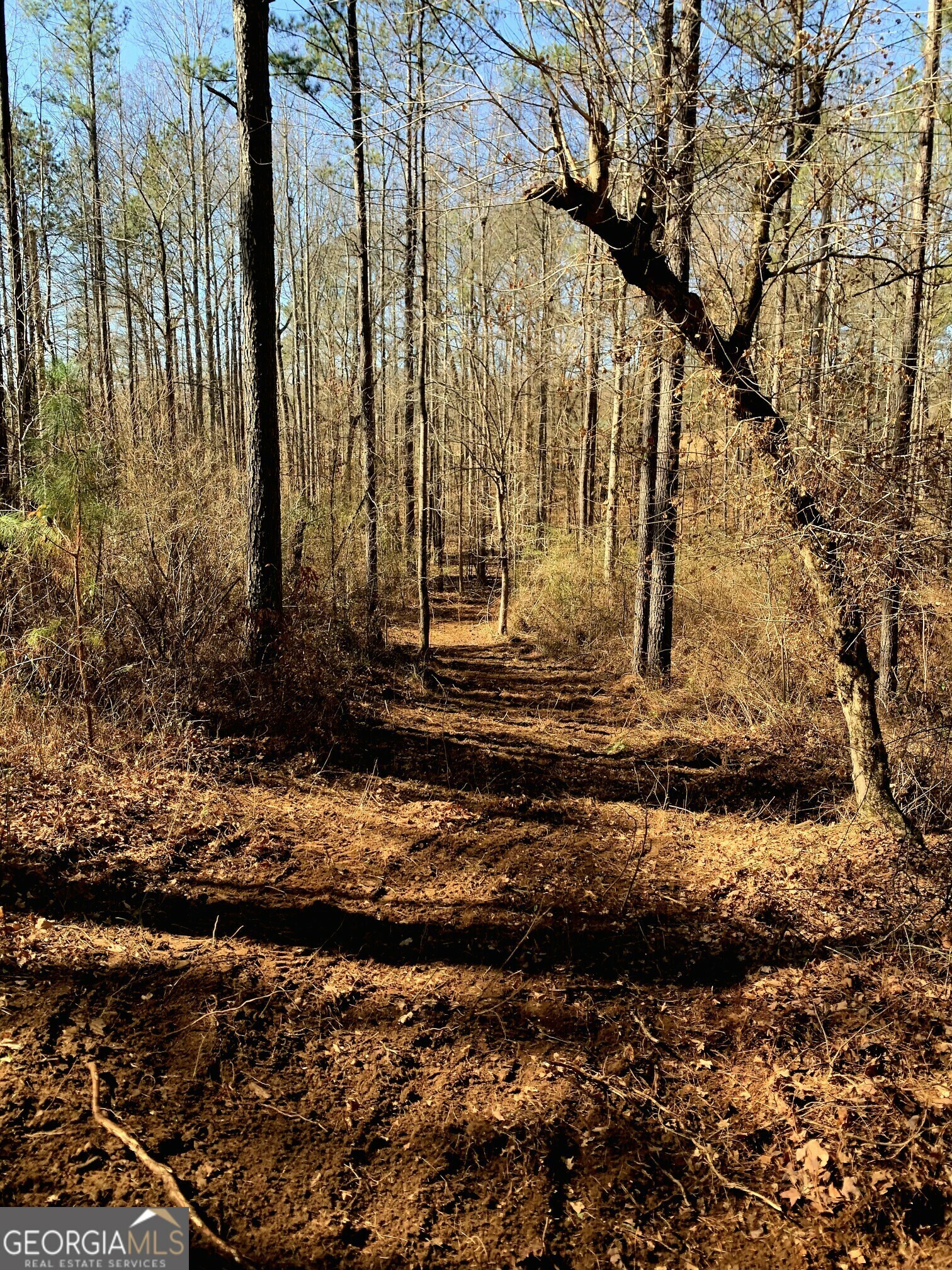 Property Photo:  Tract 4 Highway 16 W  GA 31064 