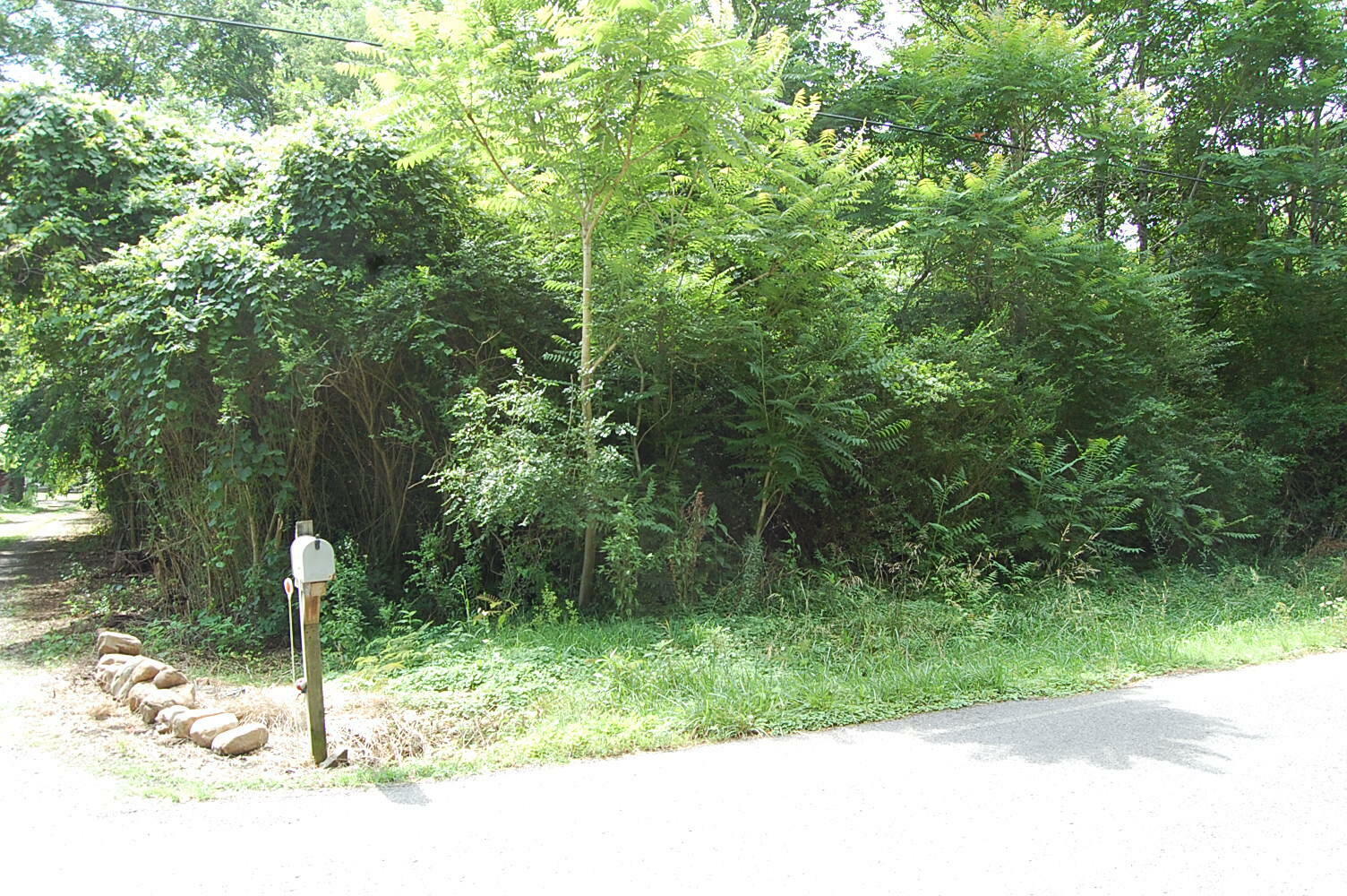 Property Photo:  4 Old State Highway 28 Rd  TN 37327 