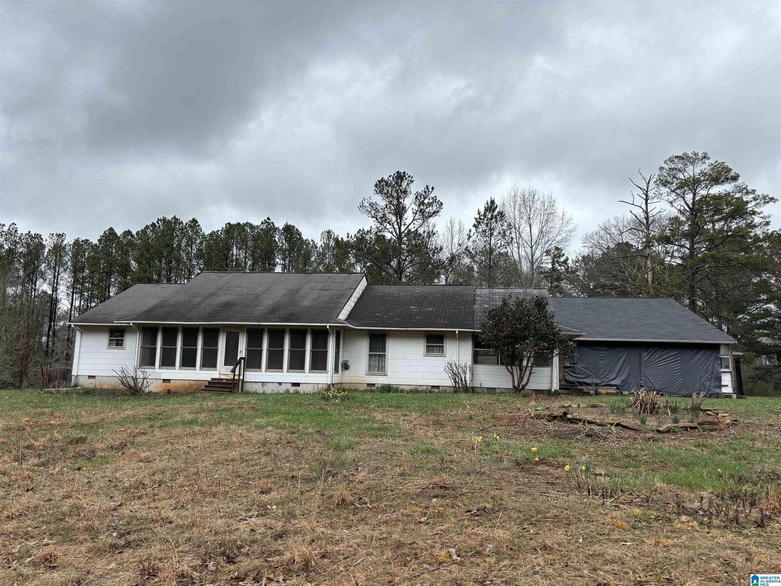 Property Photo: 1537 County Road 458 AL 36280