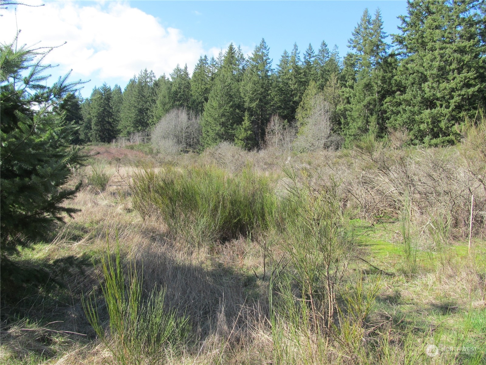 Property Photo:  0 State Route 525  WA 98260 