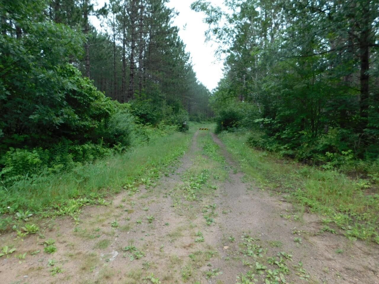 Property Photo:  Lot 3 Brown Creek Road  WI 54487 
