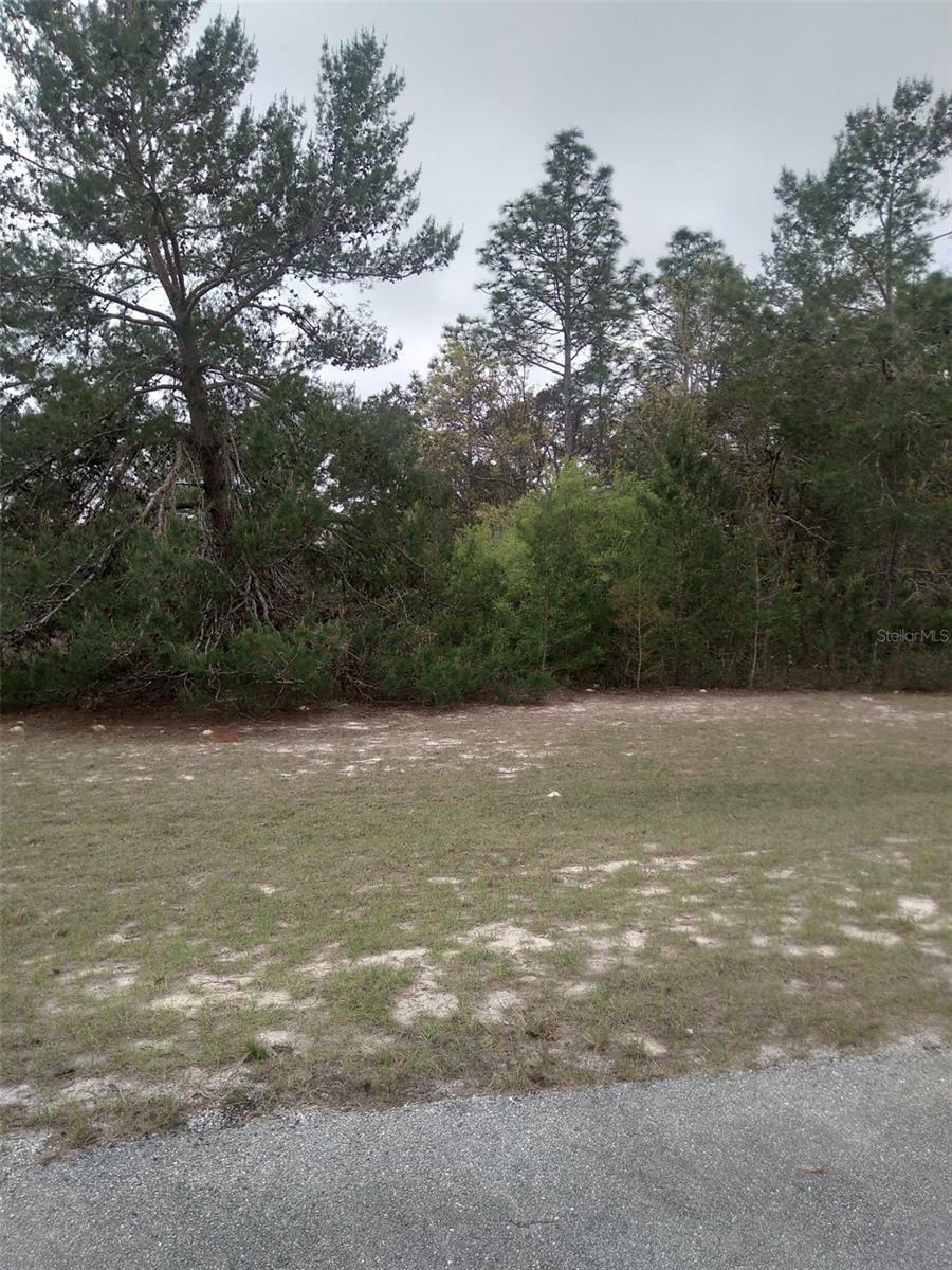 Property Photo:  0 SW 135th Street Road  FL 34473 