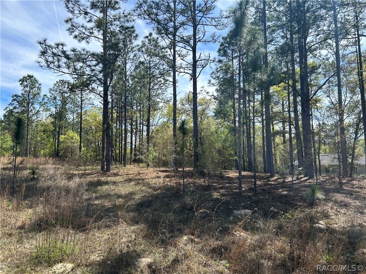 Property Photo:  2032 W Corrine Street  FL 34434 