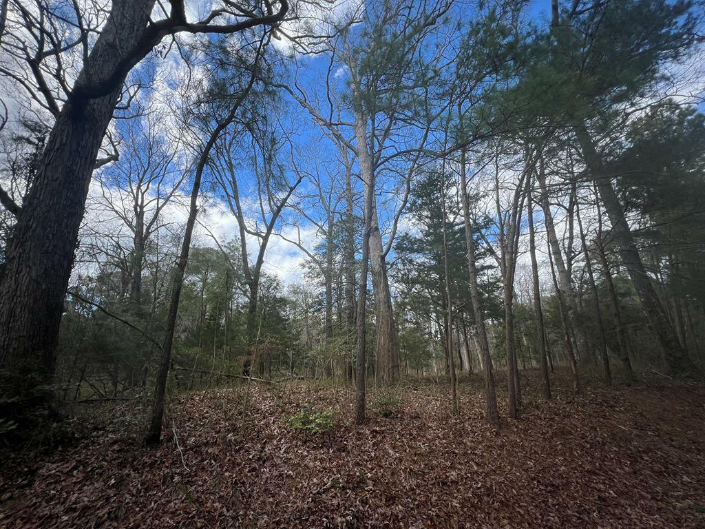 Property Photo:  Lot 3A Harbour Ln  VA 23310 