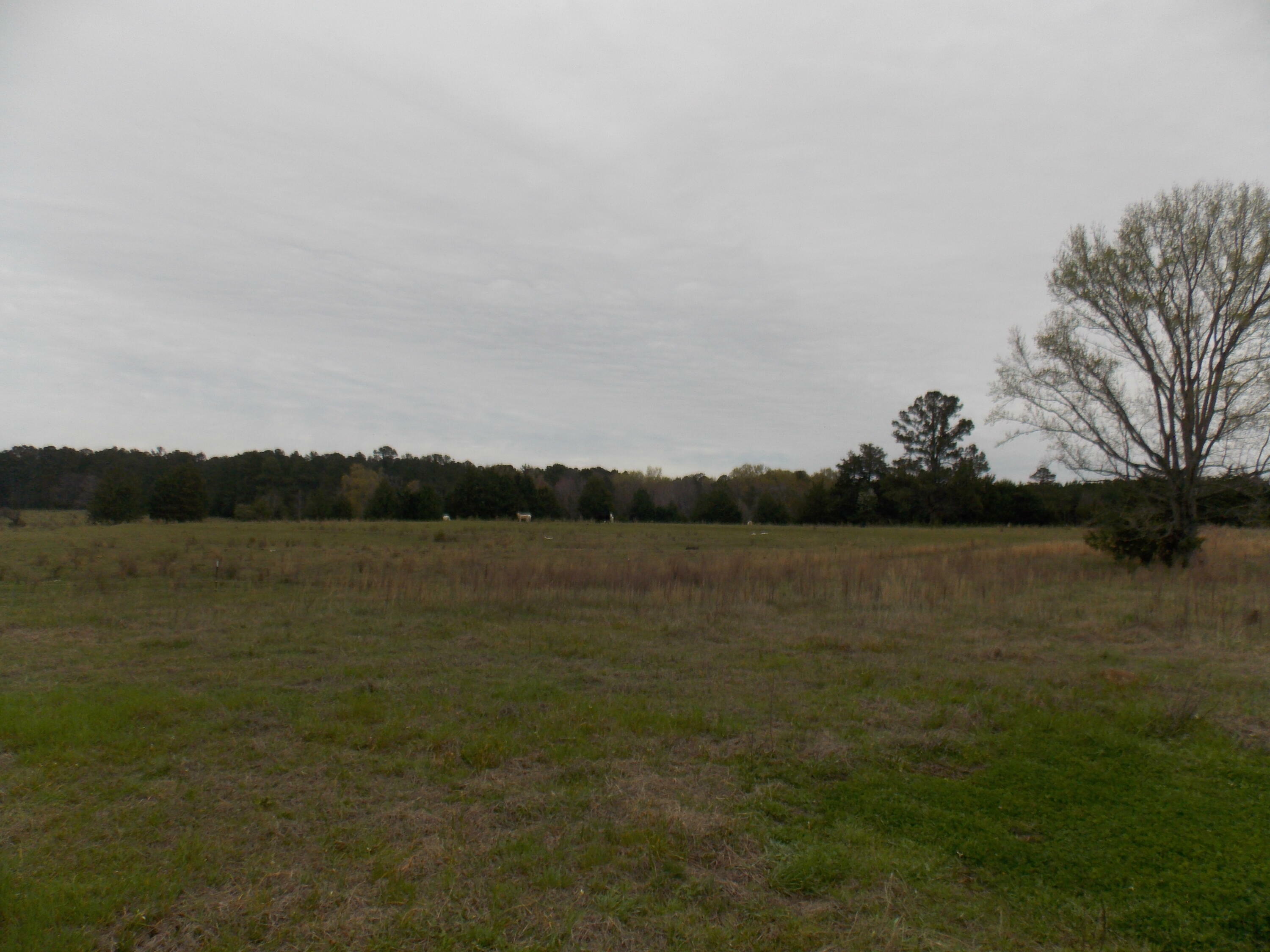 Property Photo:  378 Lincolnton Rd Road  GA 30673 