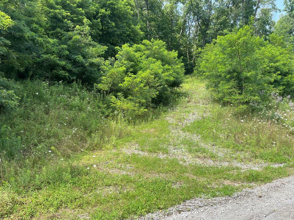 Property Photo:  Lot 19 Hemlock Hills Rd  PA 18848 