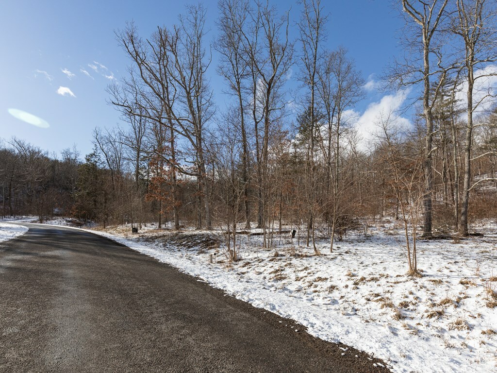 Property Photo:  Lot 16 Hemlock Hills Rd  PA 18848 