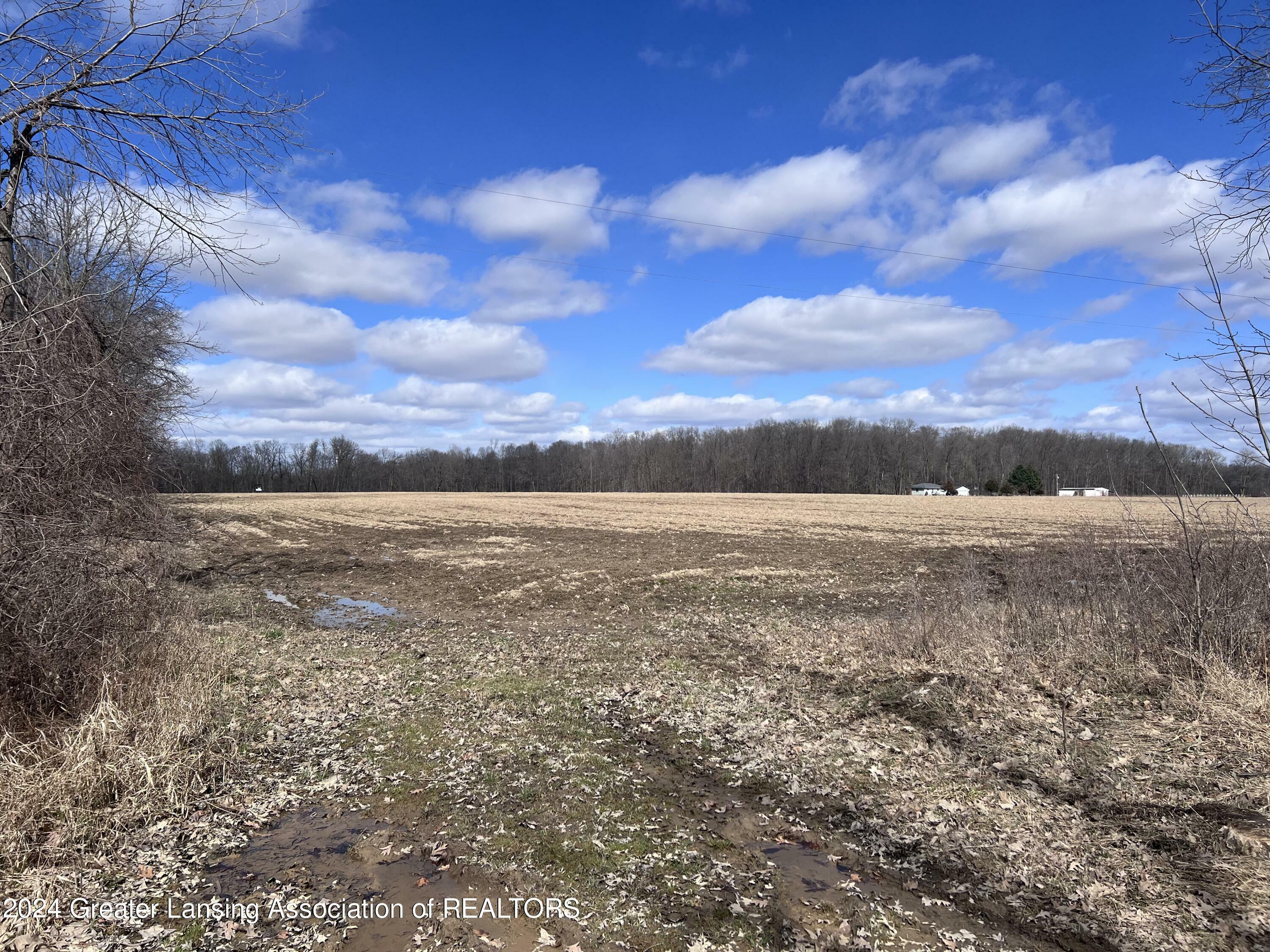 V/L Grand River Trail  Portland MI 48875 photo