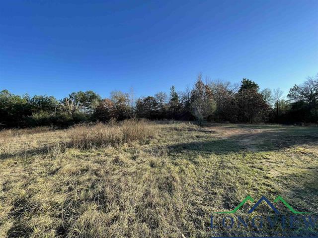 947 Almond Road  Big Sandy TX 75755 photo