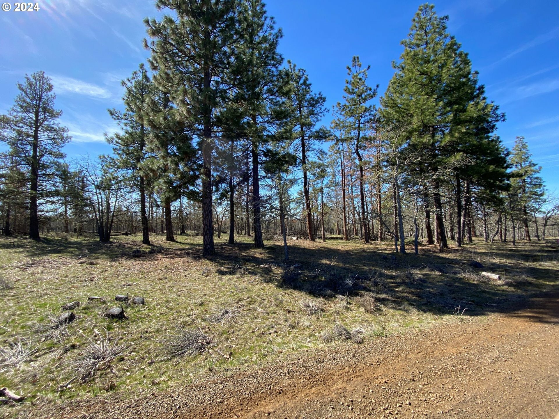 Property Photo:  D Pine Rd Lot 4  WA 98620 