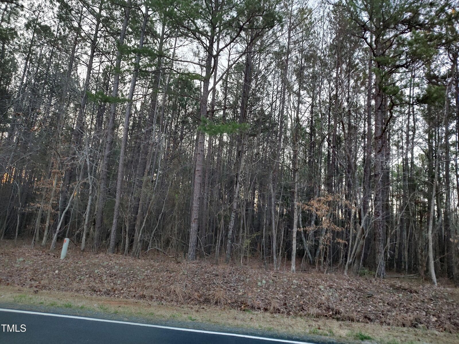 Property Photo: 1631 SR Gum Pond Rd Lt 3 NC 27589