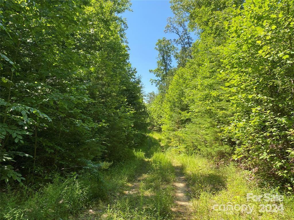 Property Photo:  15159 Hwy 226 South  NC 28167 