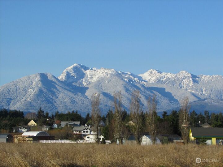 84 Green Valley Lane  Sequim WA 98382 photo