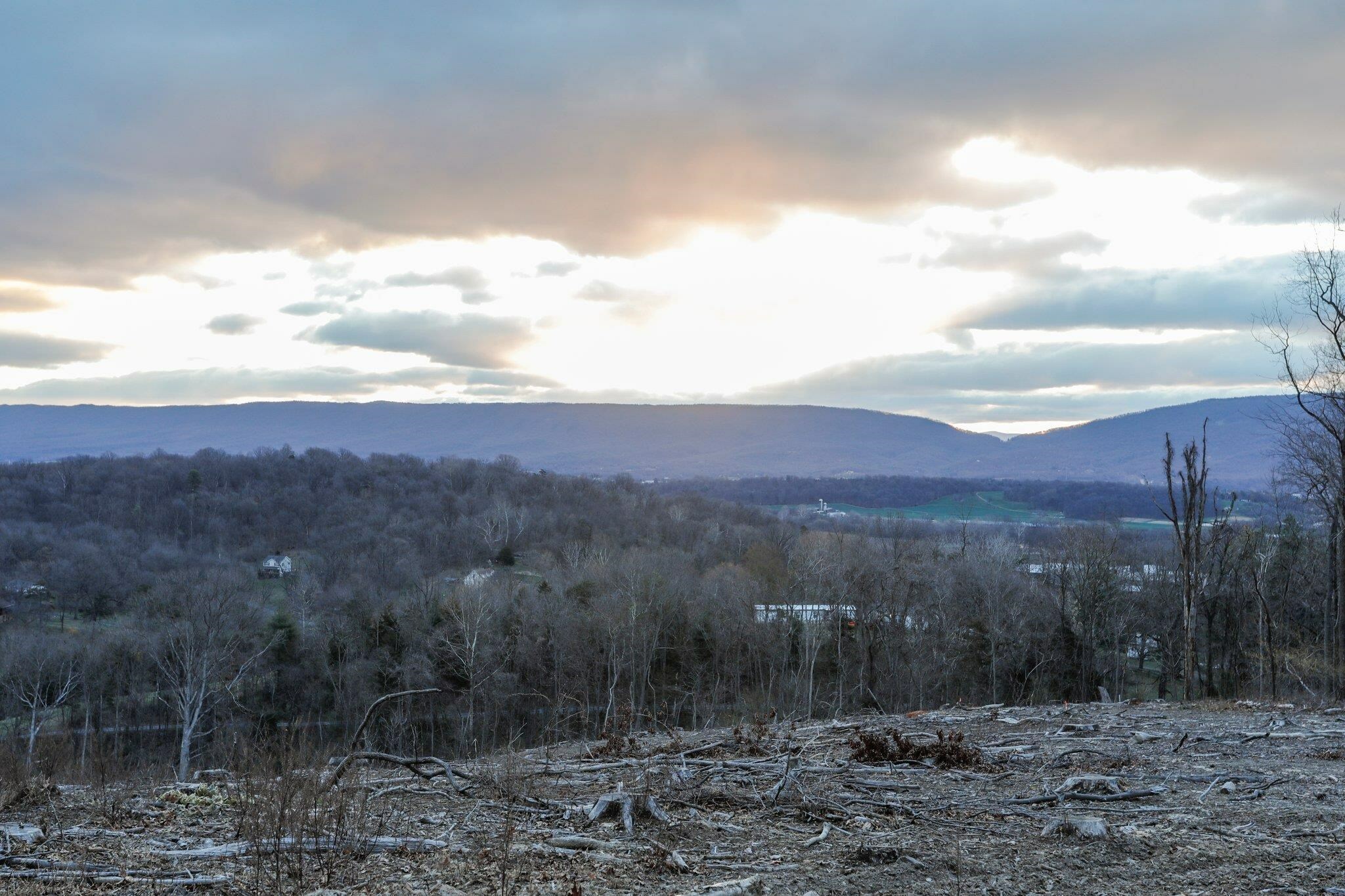 Property Photo:  Tbd New Market Depot Rd  VA 22844 