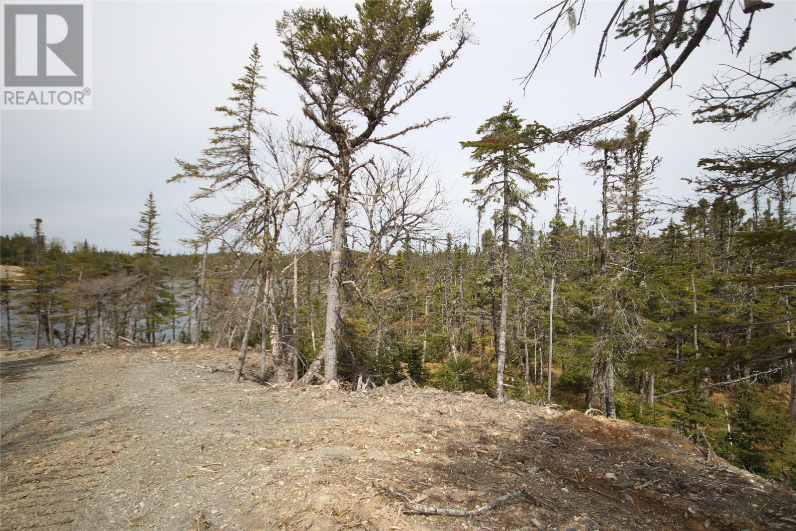 Lot 38A Inner Pond Road South  Whitbourne NL A0B 3K0 photo
