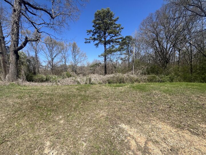 1.6 Ac 11th Street  Bridgeport AL 35740 photo