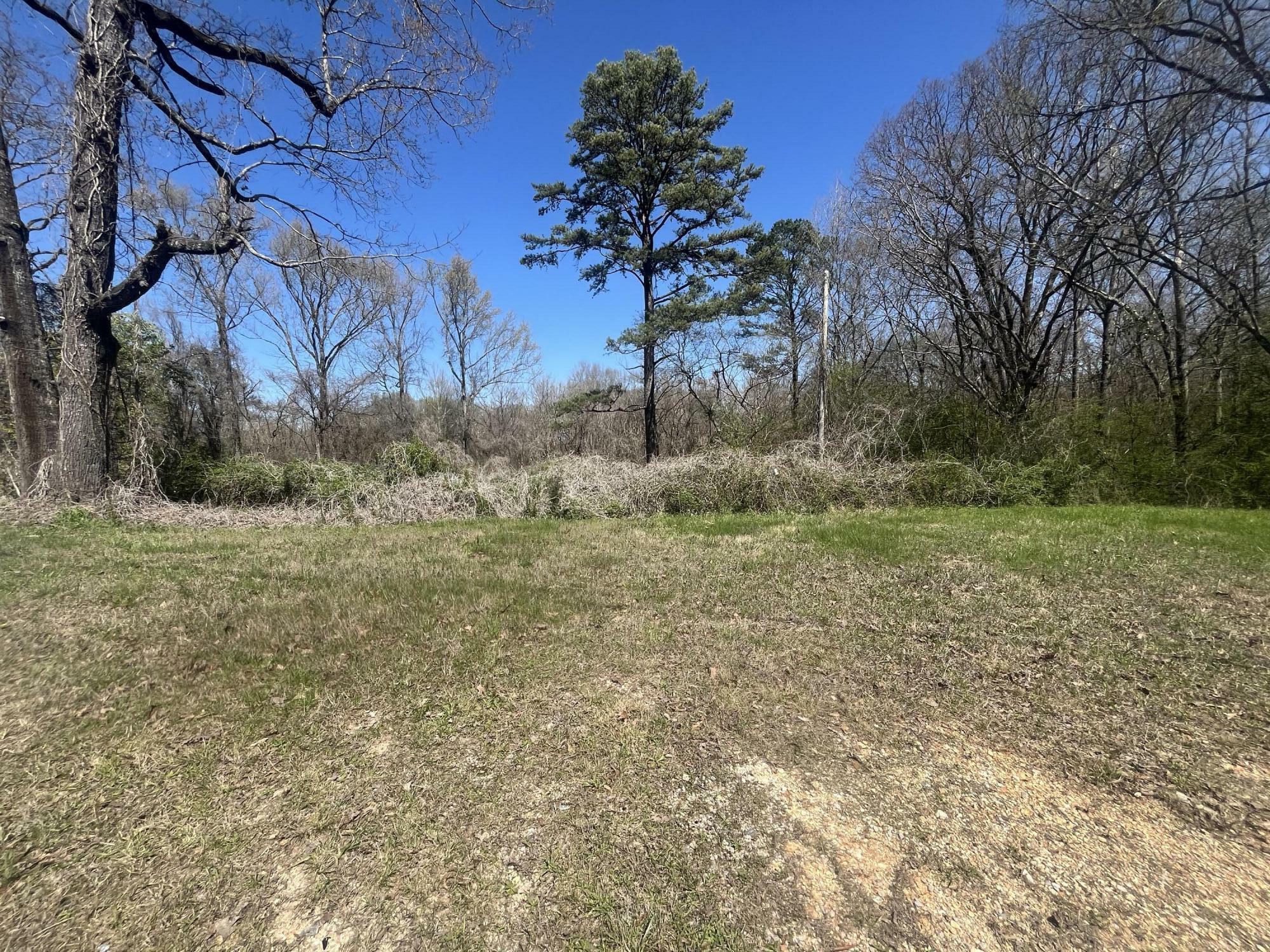 Property Photo: 1.6 Ac 11th Street AL 35740