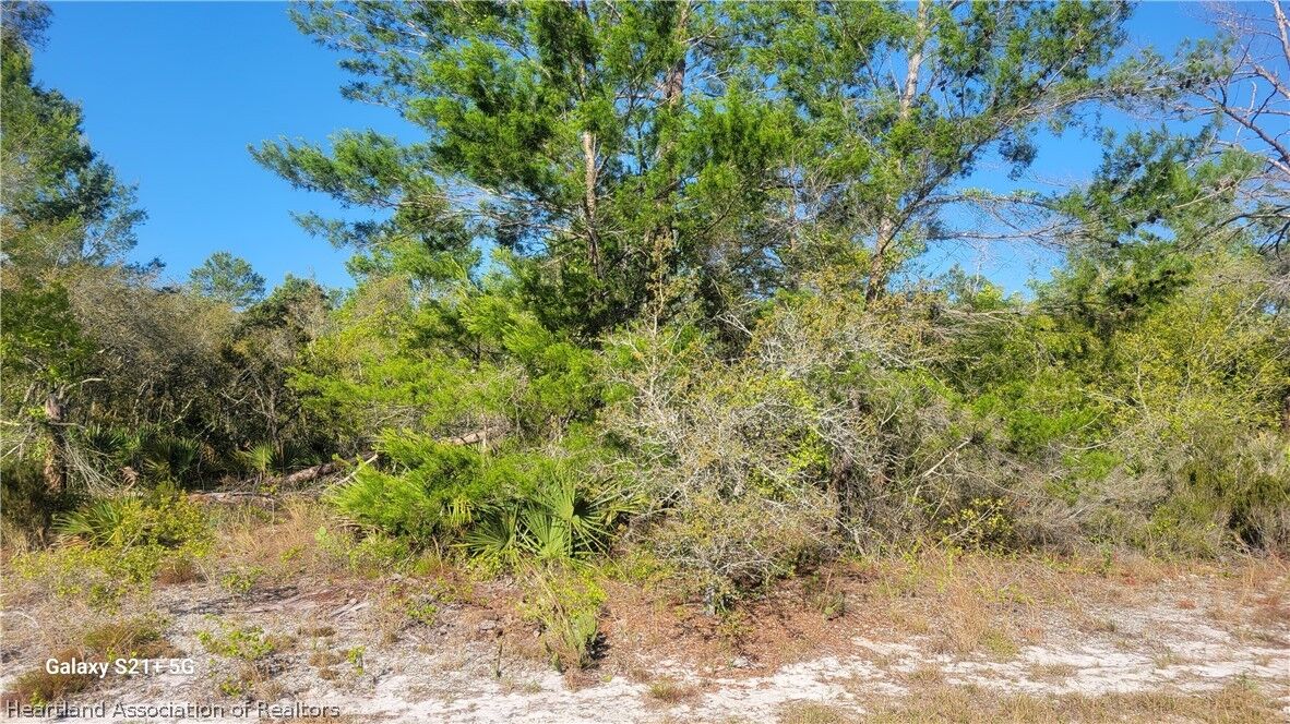 Property Photo: 117 Fillmore Avenue FL 33852