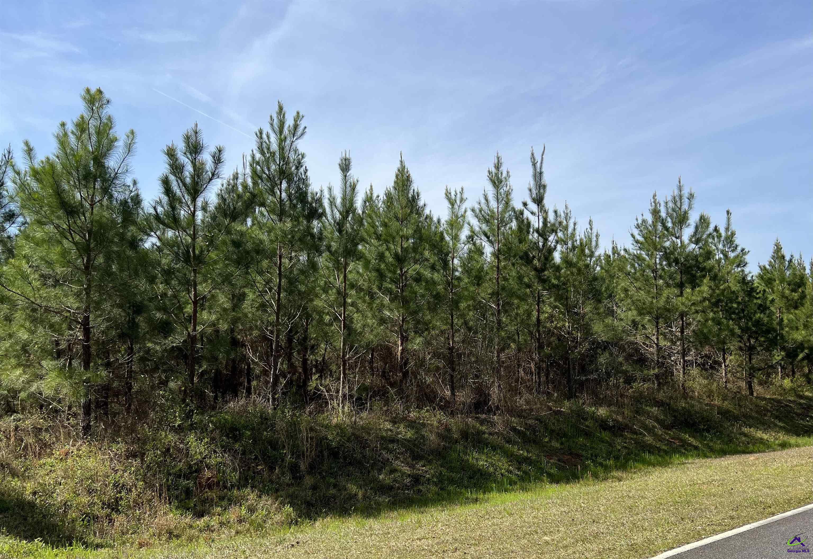 Property Photo:  Lot 9 Whitfield Road  GA 31025 