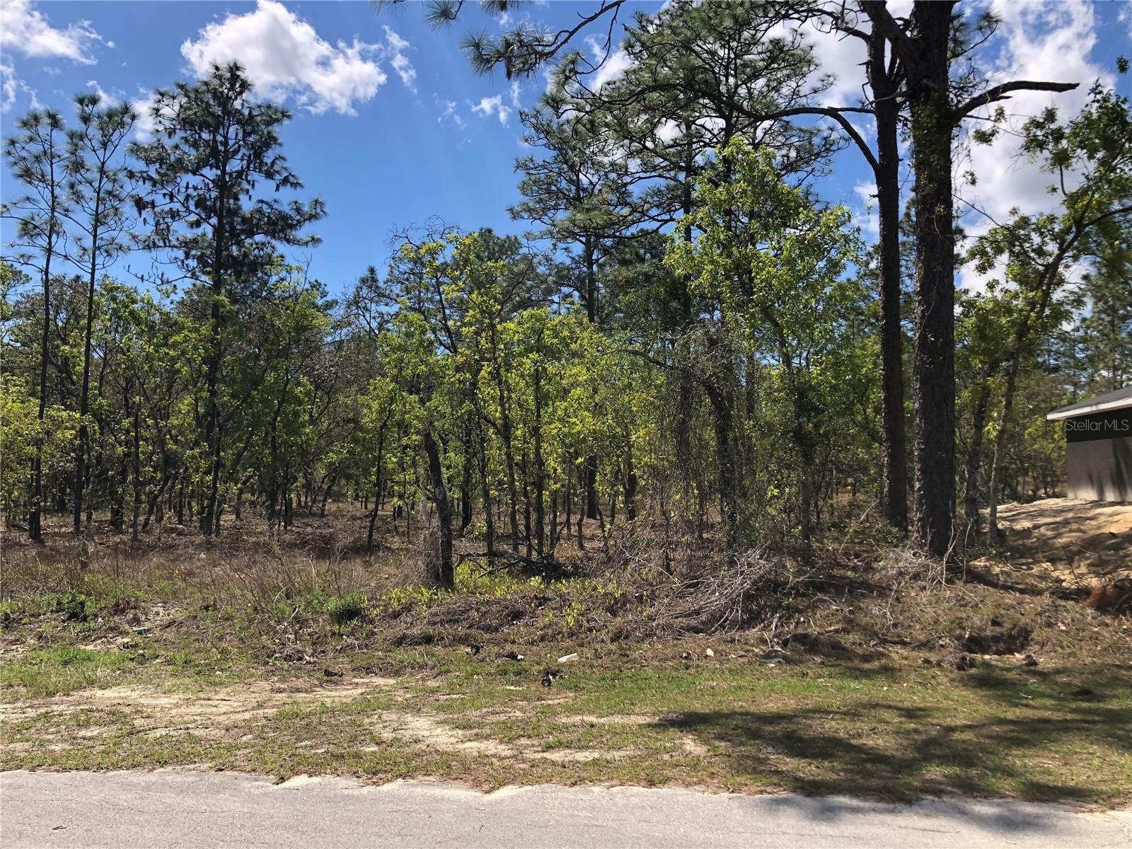 Property Photo:  Lot 23 NW Alvarez Road  FL 34431 