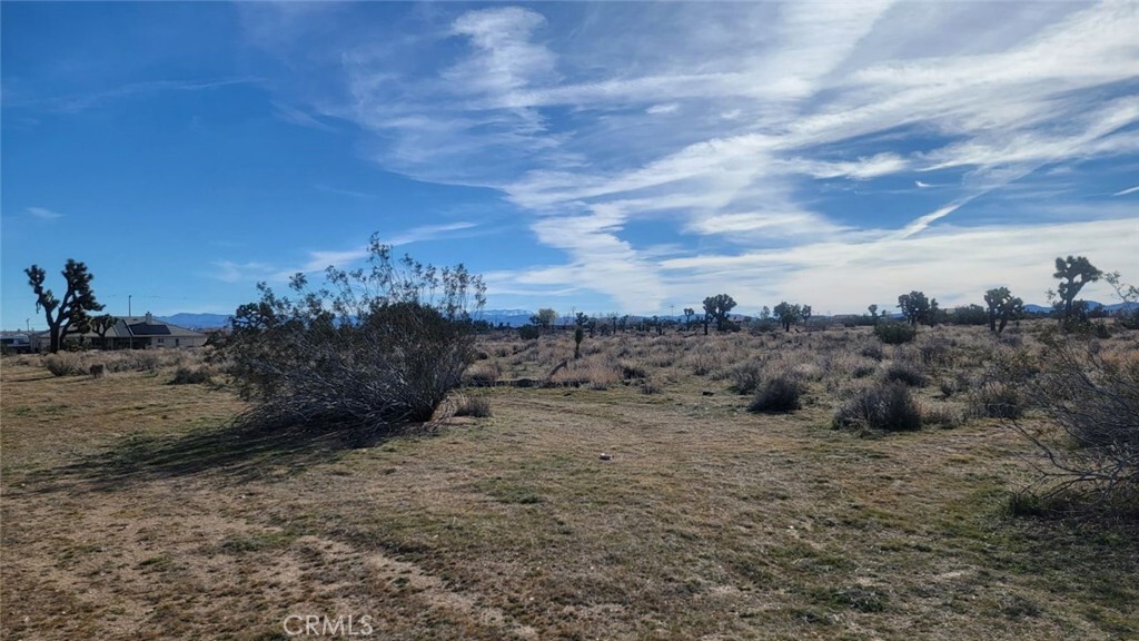 Property Photo: 0 Wilmot Street CA 92344