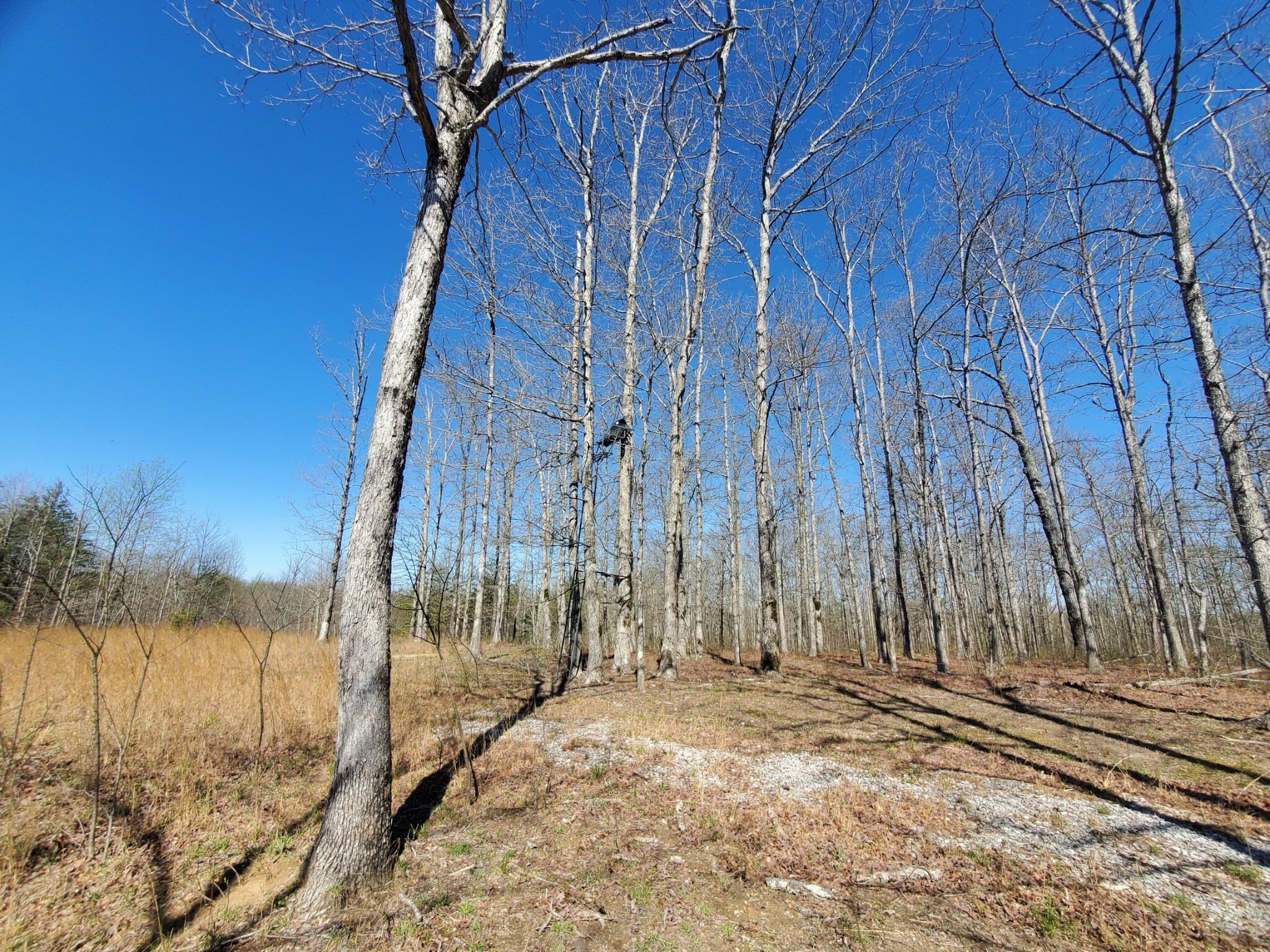 Property Photo:  955 Pigeon Spur Rd  TN 37387 