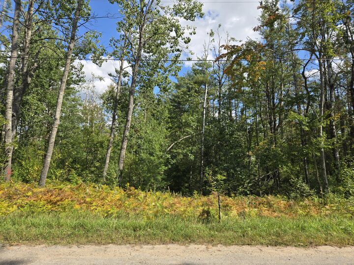 64 Pine Grove Road  Gaylord MI 49735 photo