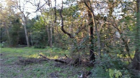 Property Photo: 0000 Danover Street TX 77494