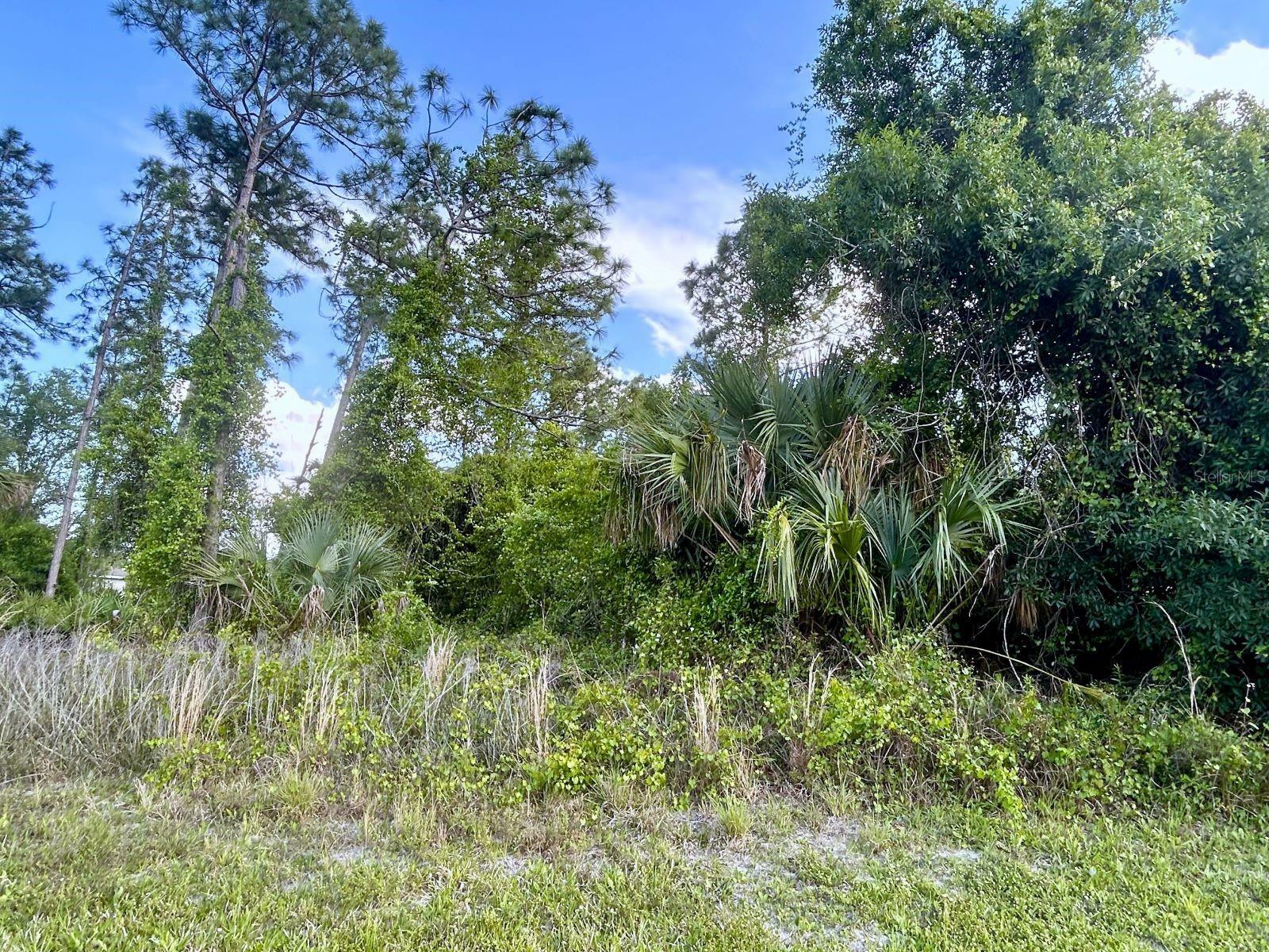 Property Photo:  Lots 9 And 10 Tropicaire Boulevard  FL 34291 