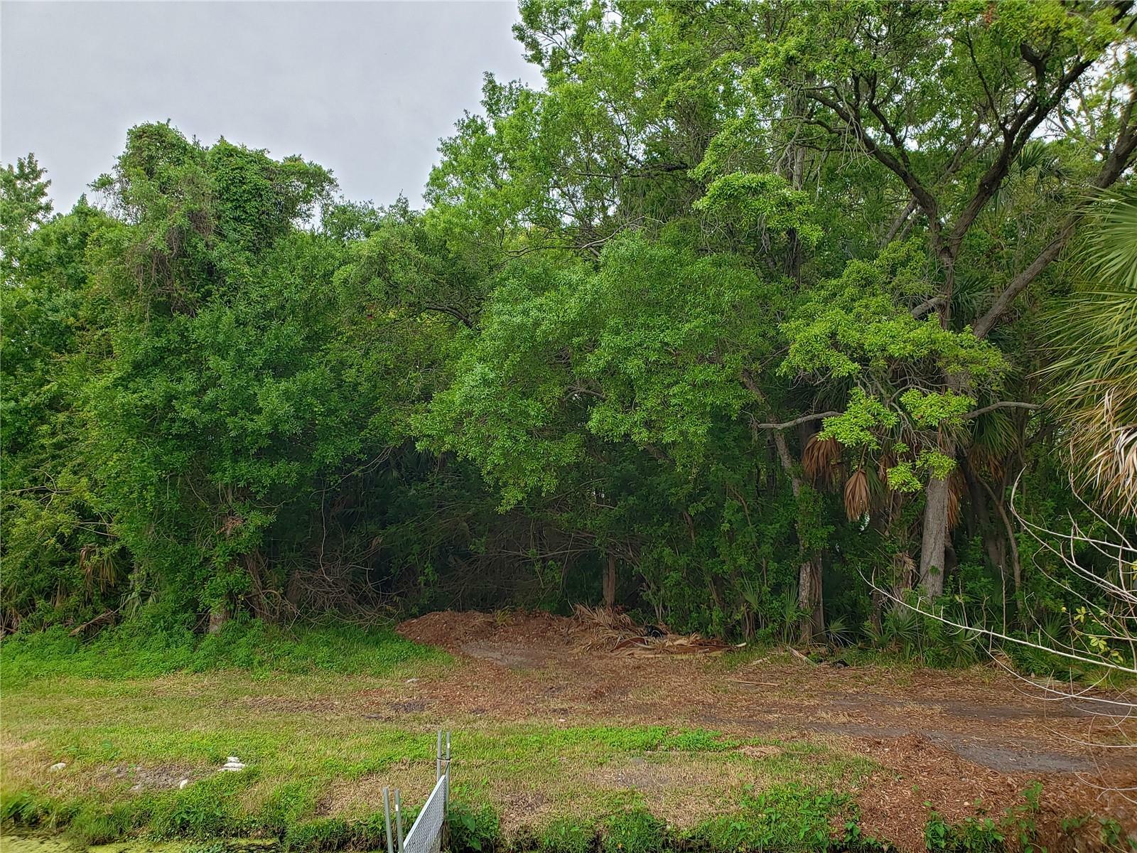 Grosse Avenue  Tarpon Springs FL 34689 photo