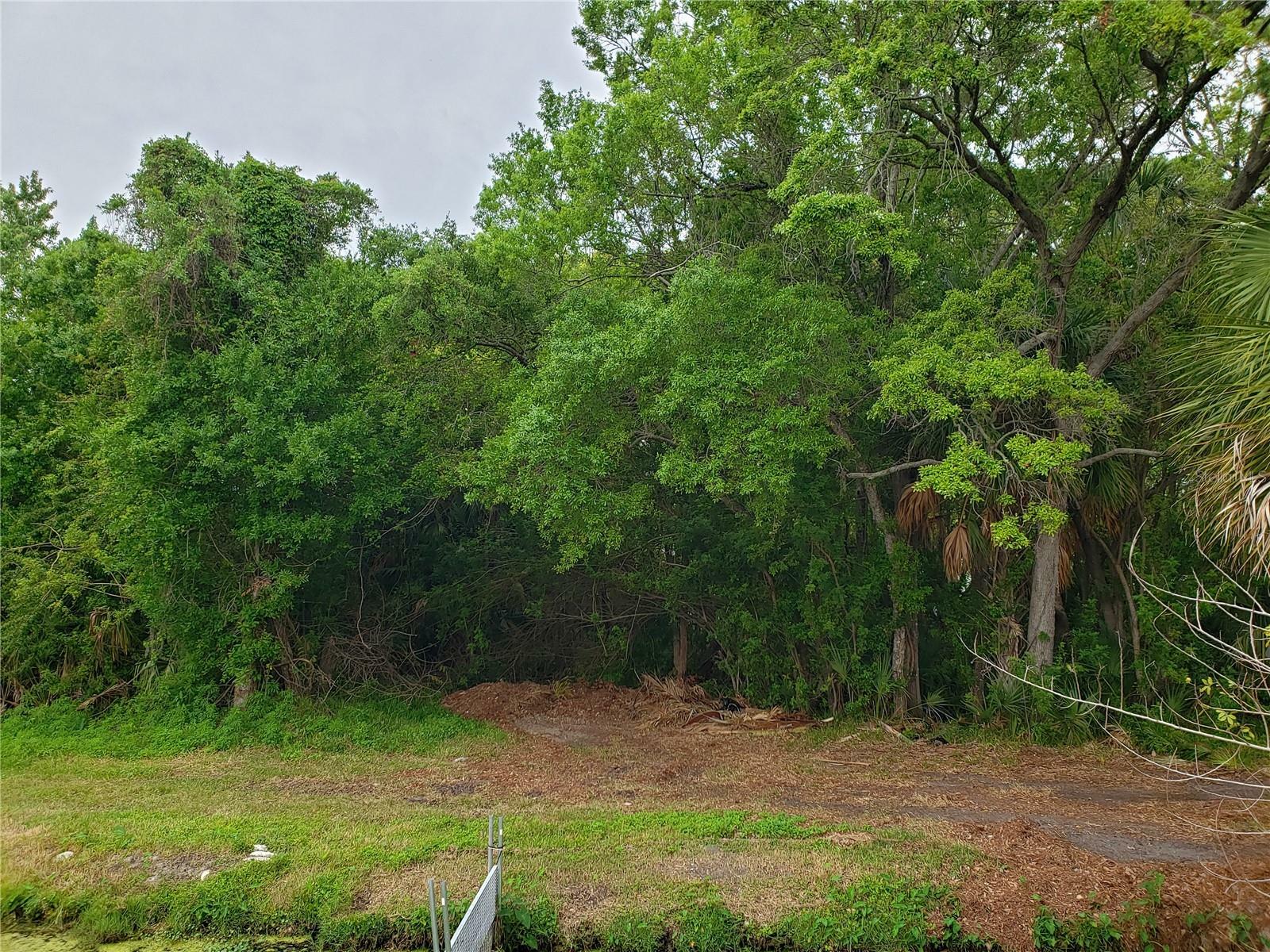 Property Photo:  Grosse Avenue  FL 34689 