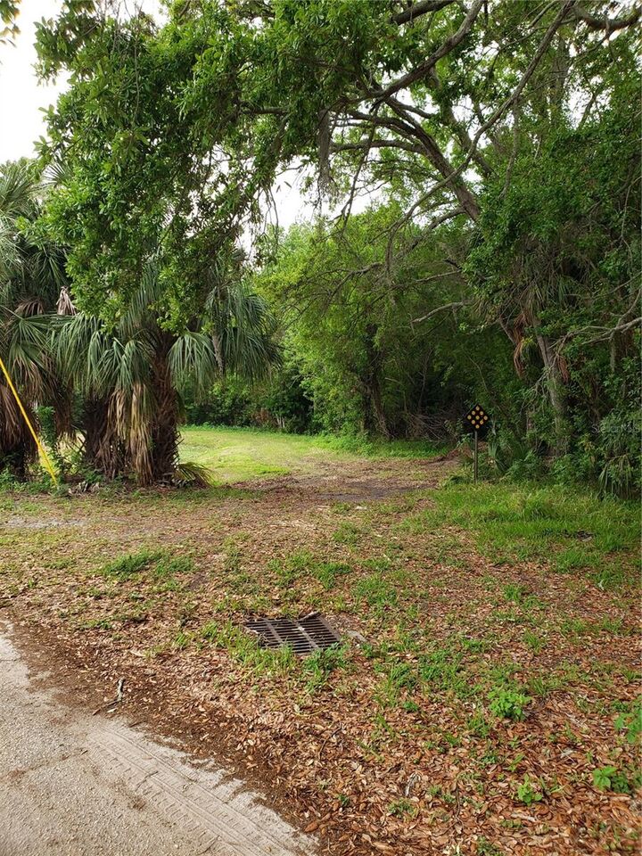 Grosse Avenue  Tarpon Springs FL 34689 photo