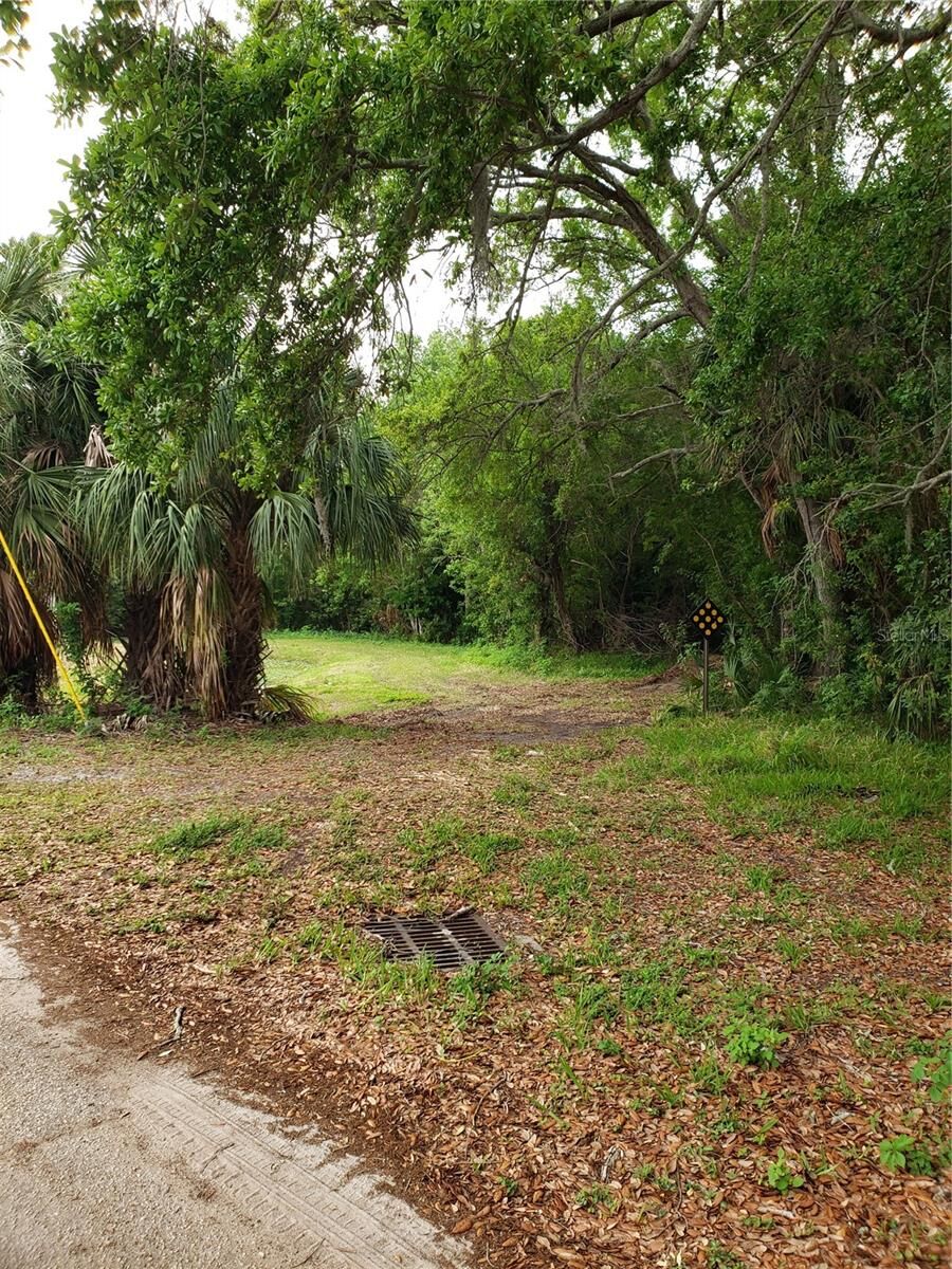 Property Photo:  Grosse Avenue  FL 34689 