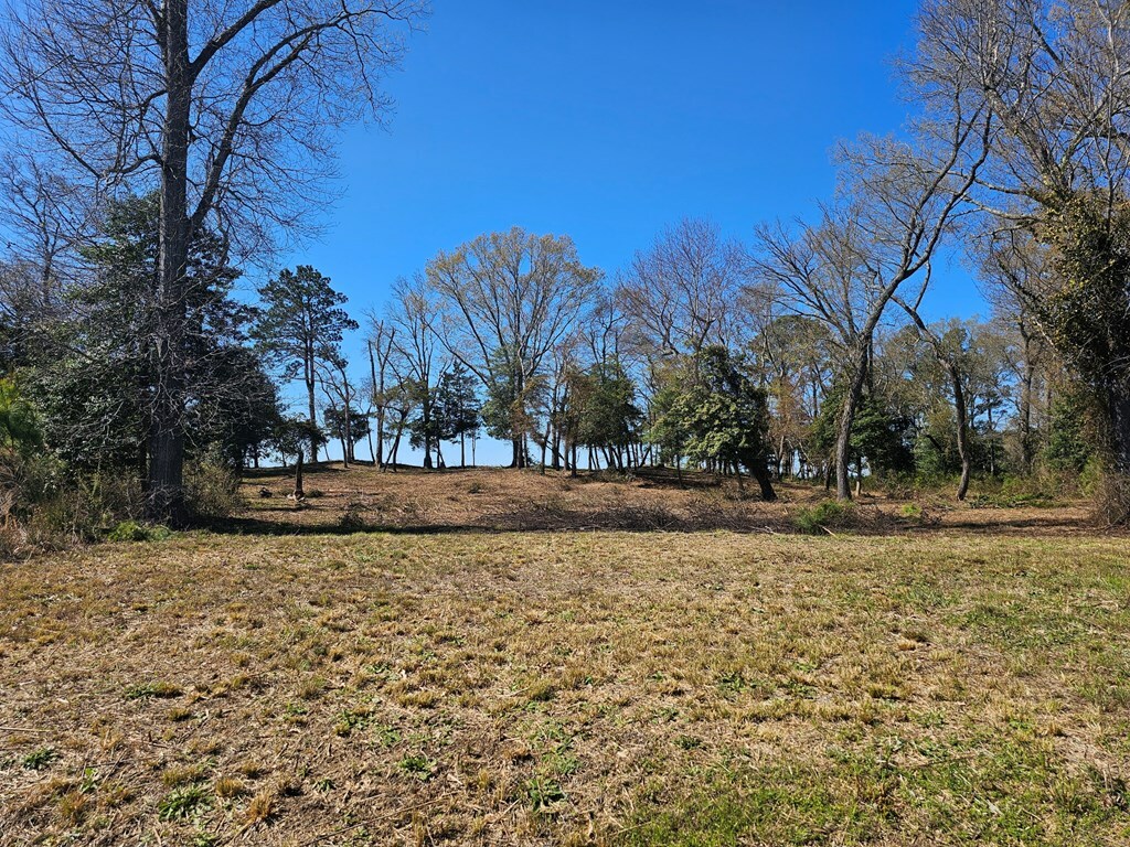 Property Photo:  Lot 8 Cedar Grove Drive  VA 23420 