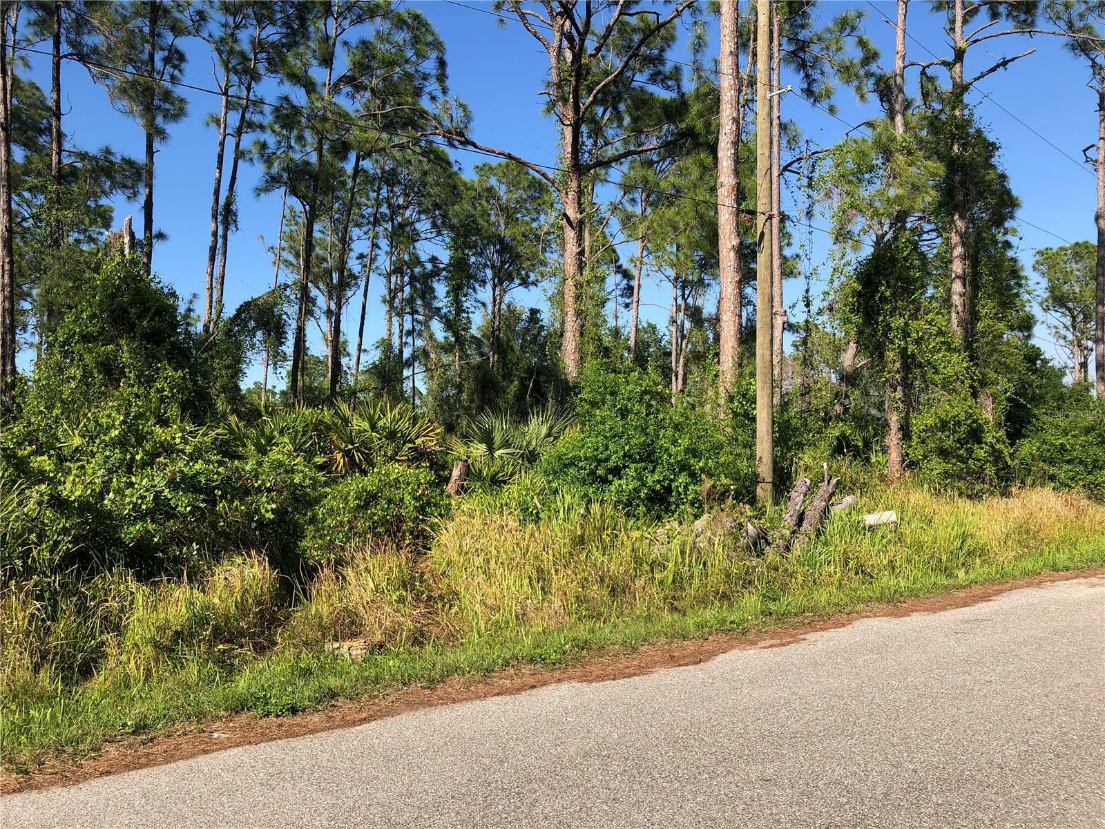 Property Photo:  Dandurand Avenue  FL 34291 