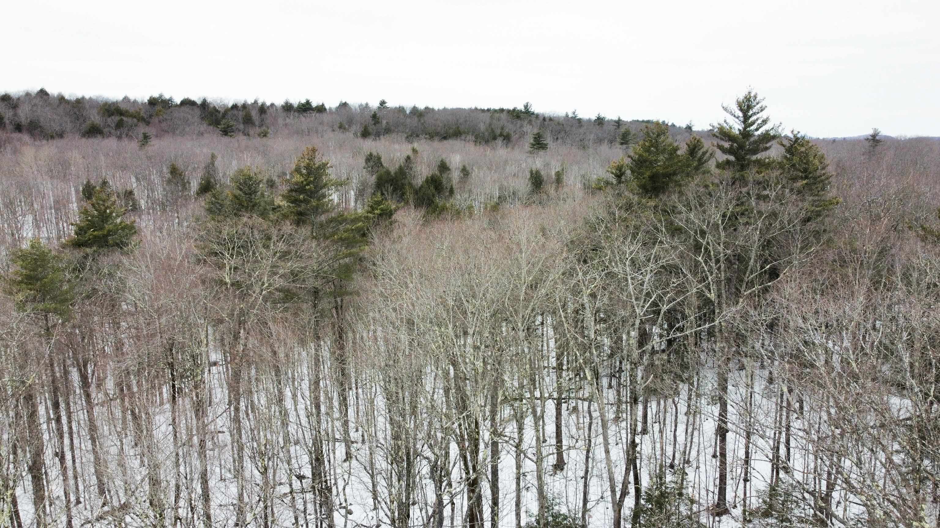 Property Photo:  0 Caldwell Pond Road  NH 03602 