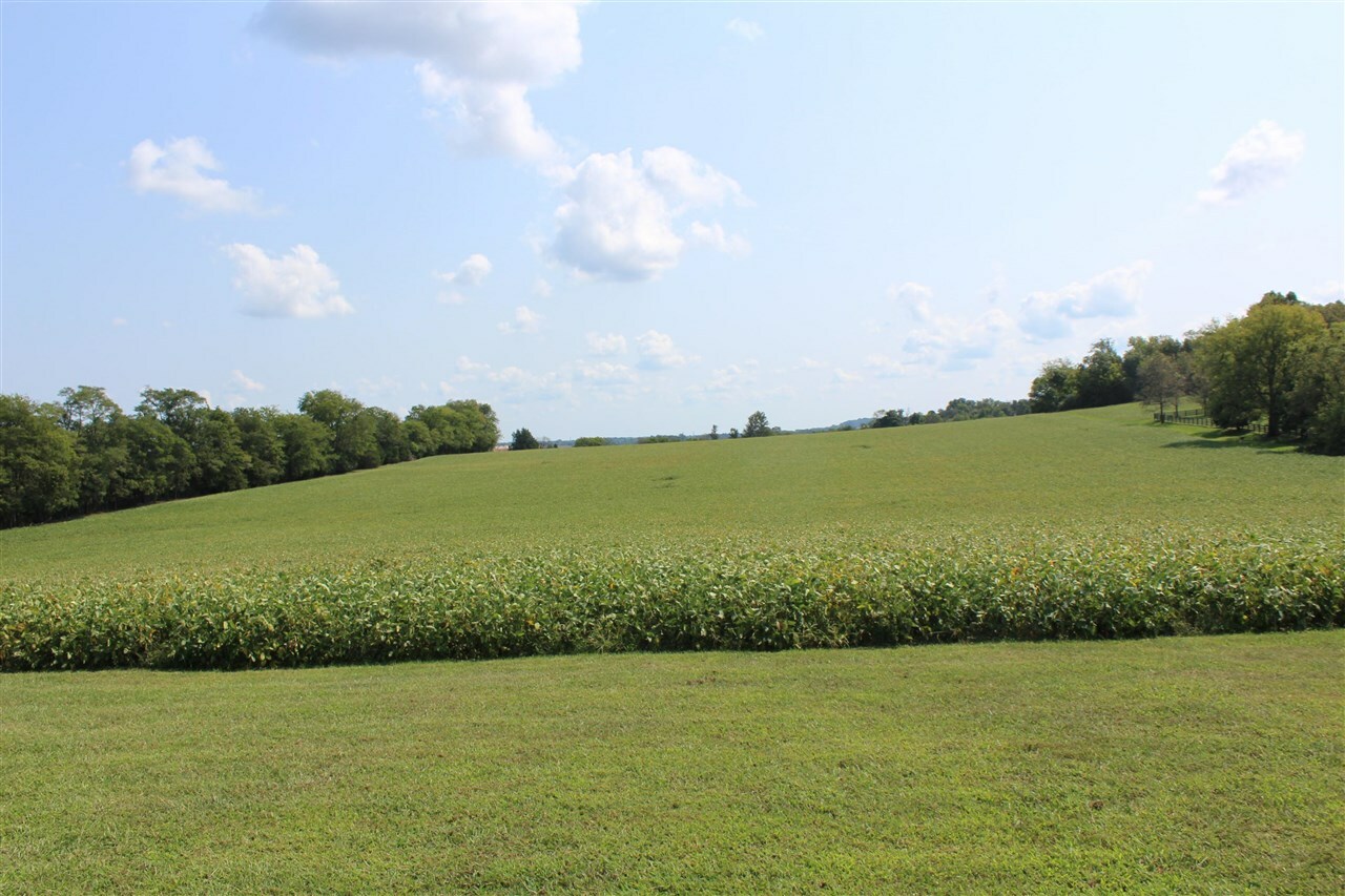 Property Photo:  1640 Old Glasgow Road  KY 42749 