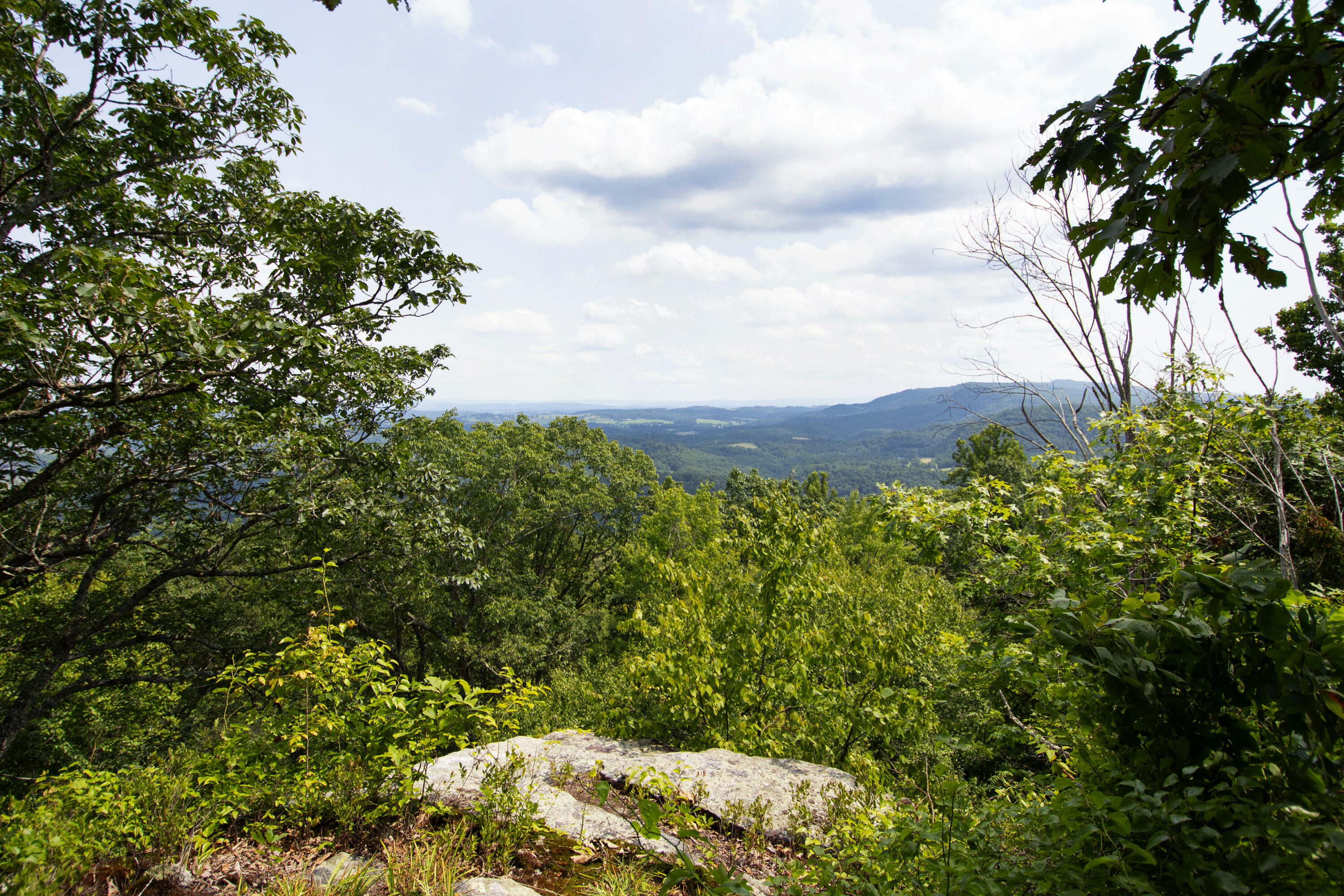 Property Photo:  477 Piney Mountain Road  WV 24910 