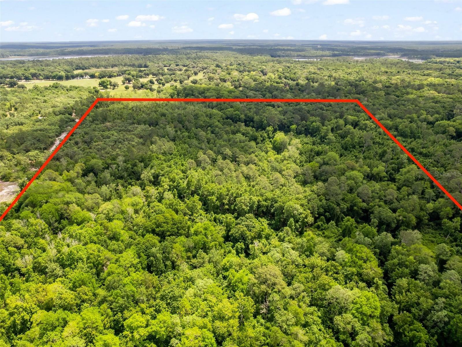 Property Photo: SE 182nd Avenue Rd FL 32179