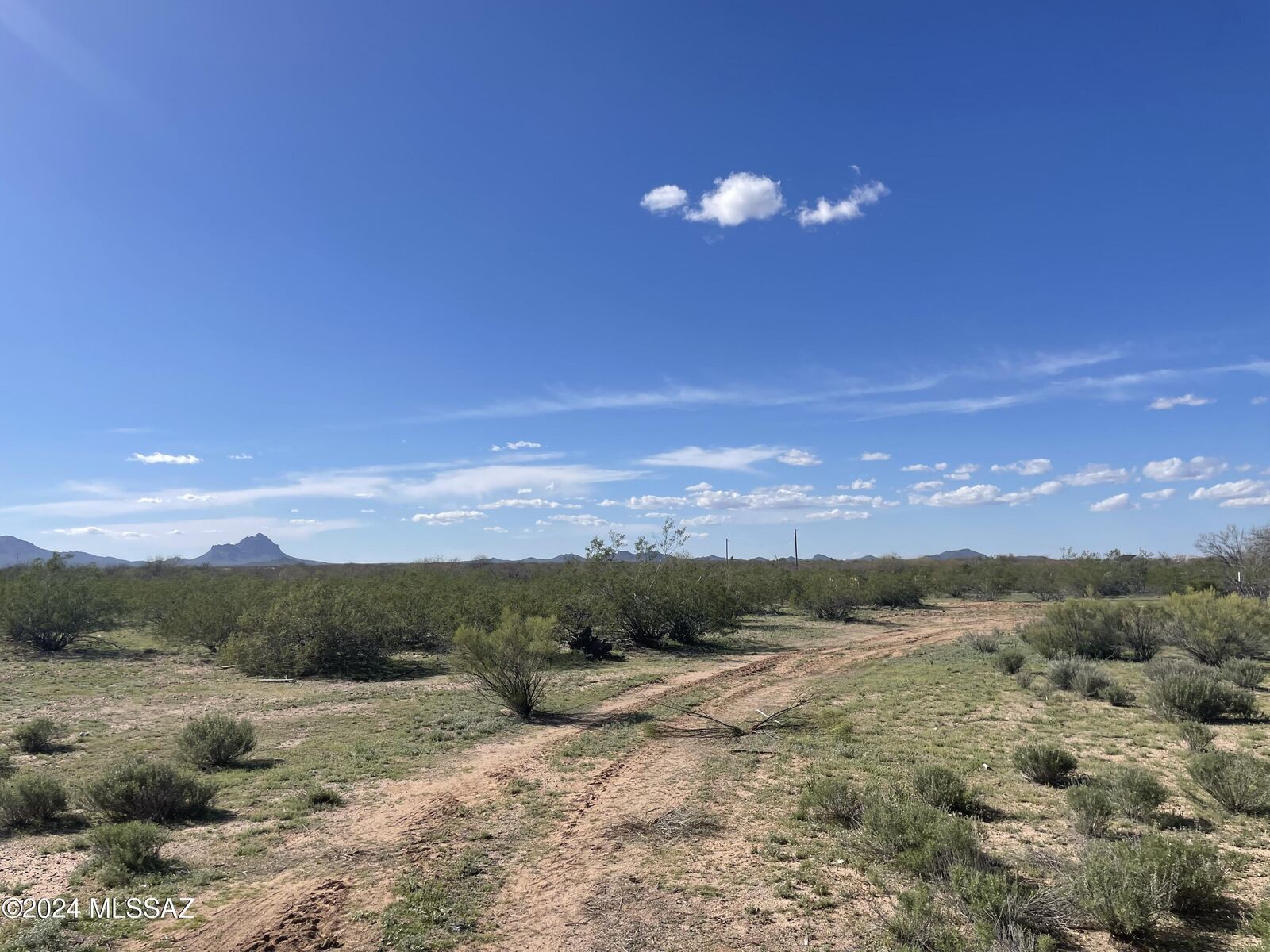 Property Photo:  11725 N Musket Road  AZ 85653