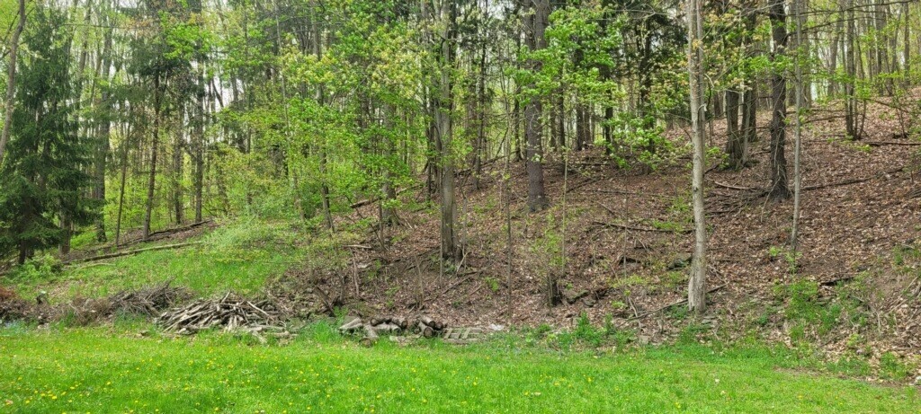 Property Photo: 515 Fernwood Avenue NY 13790