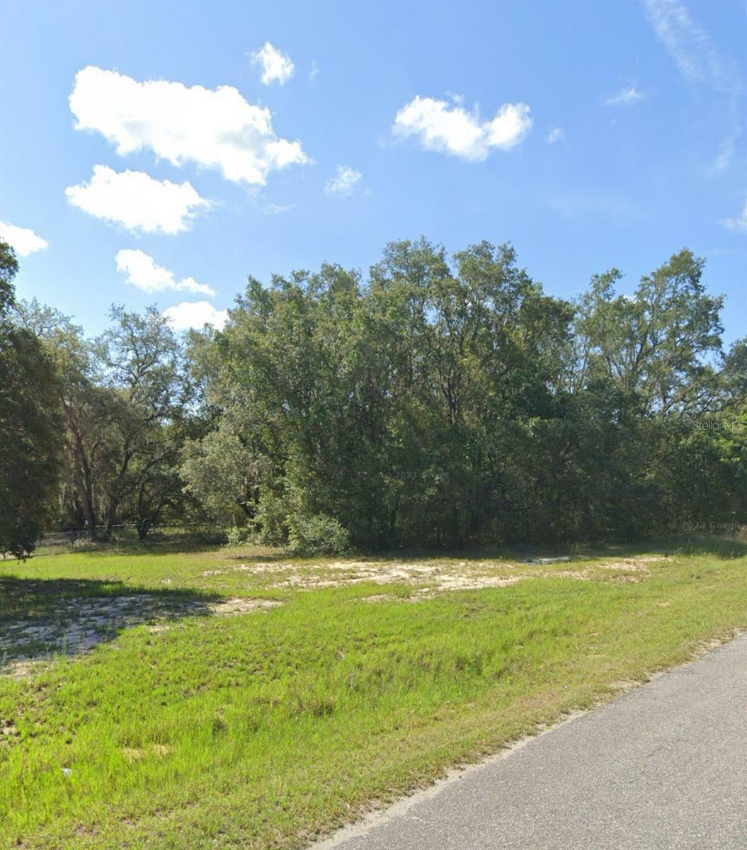 Property Photo:  Lot 12 Fisher Way Loop  FL 32179 